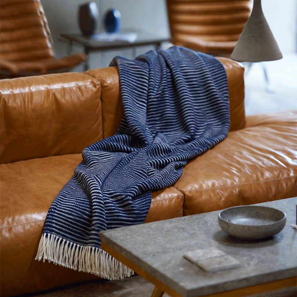 Ralph navy on a sofa