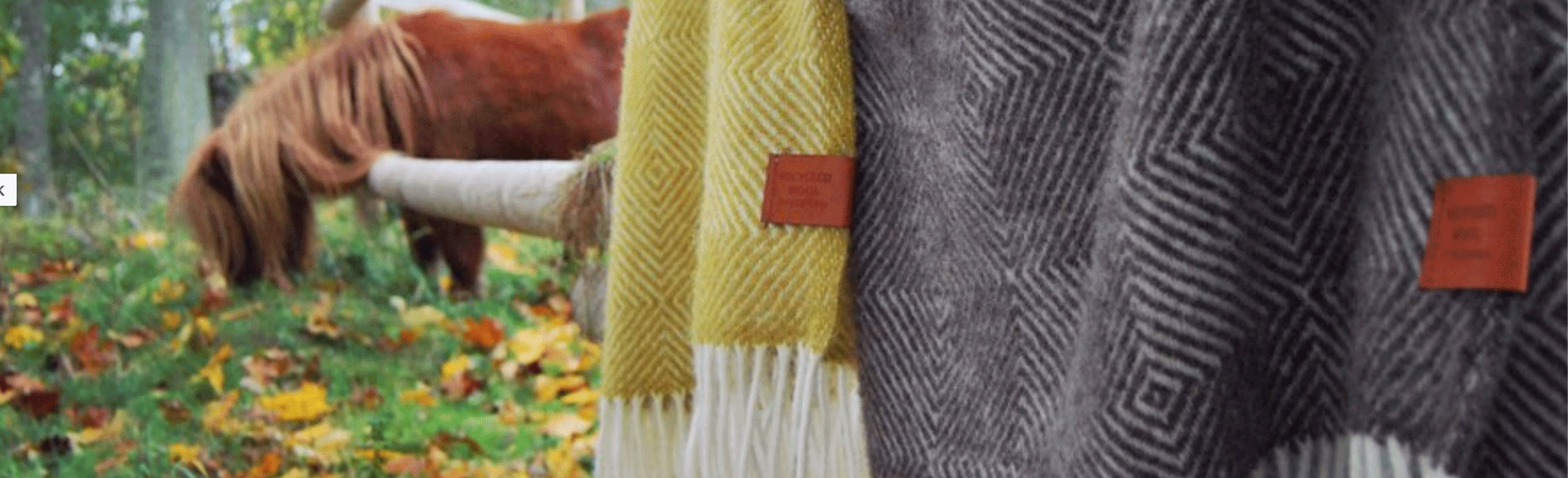 Recycled Wool
