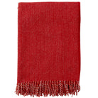 A red brushed lambswool throw with fringed edges displayed on a white background.
